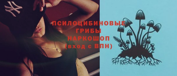 СК Абаза