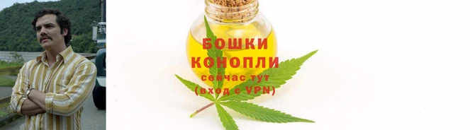 СК Абаза