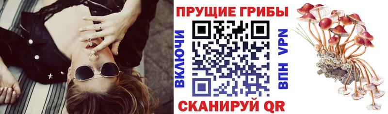 kraken маркетплейс Ряжск Галлюциногенные грибы Psilocybine cubensis